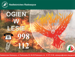 OGIEŃ&#x20;W&#x20;LESIE